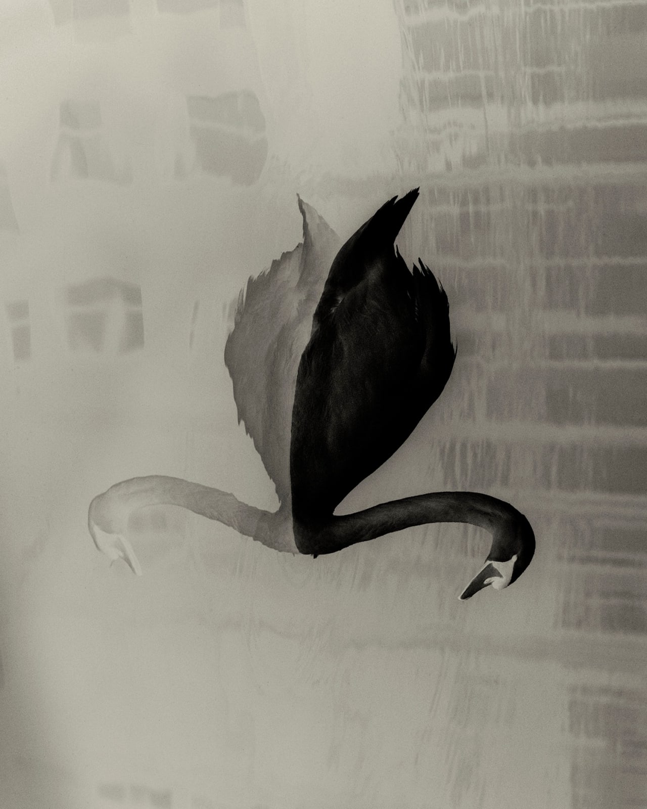 Sayuri Ichida, Absentee #207, 2021