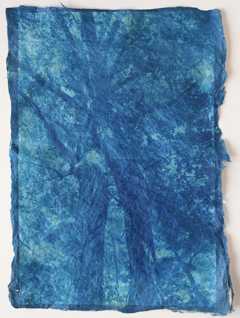 Mika Horie, Under two shades of trees, 2020