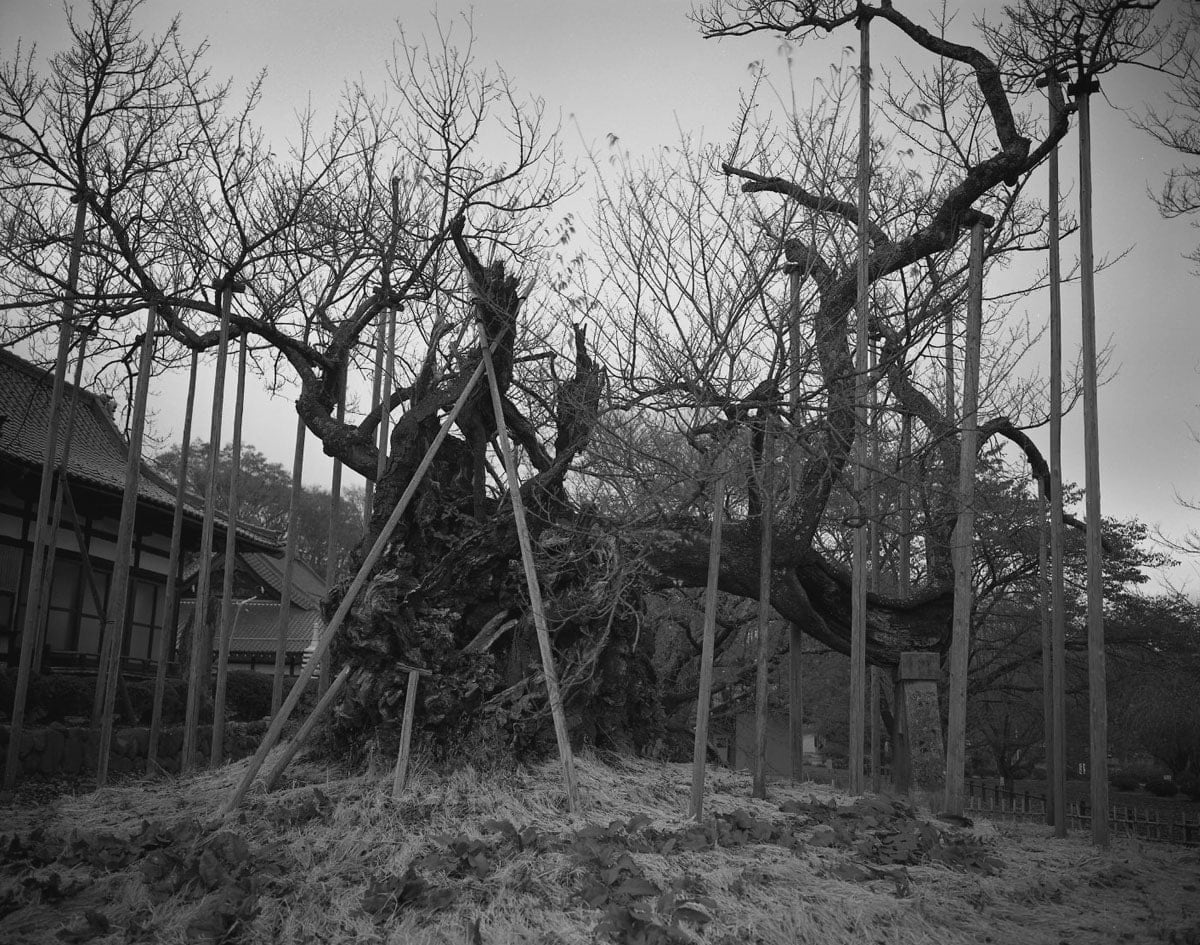 Keiichi Ito, Mukawa Yamanashi-ken, 2012