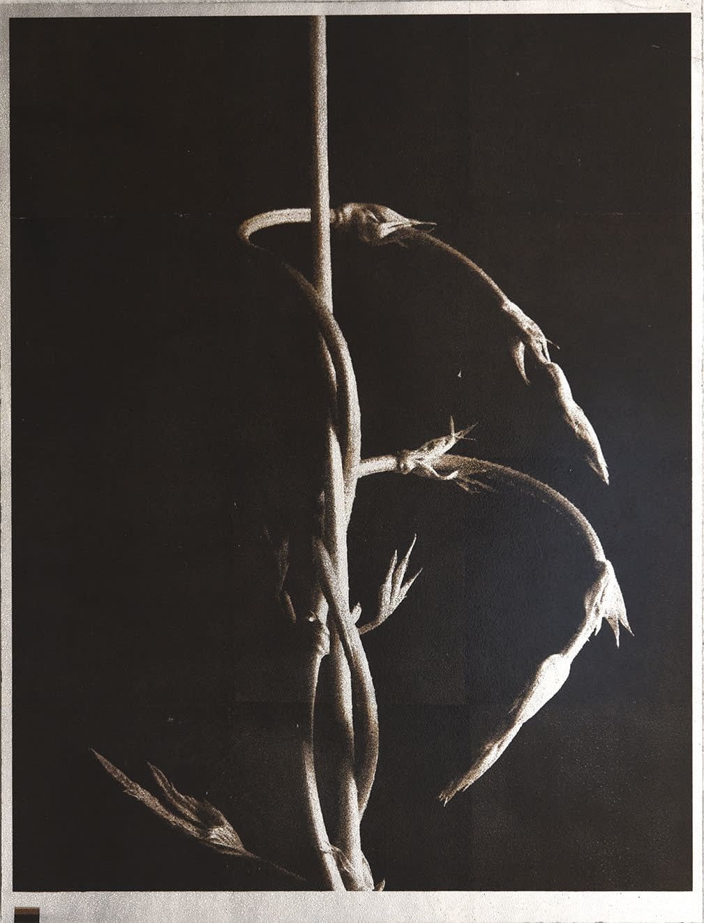 Norio Takasugi, gc-3, 2019