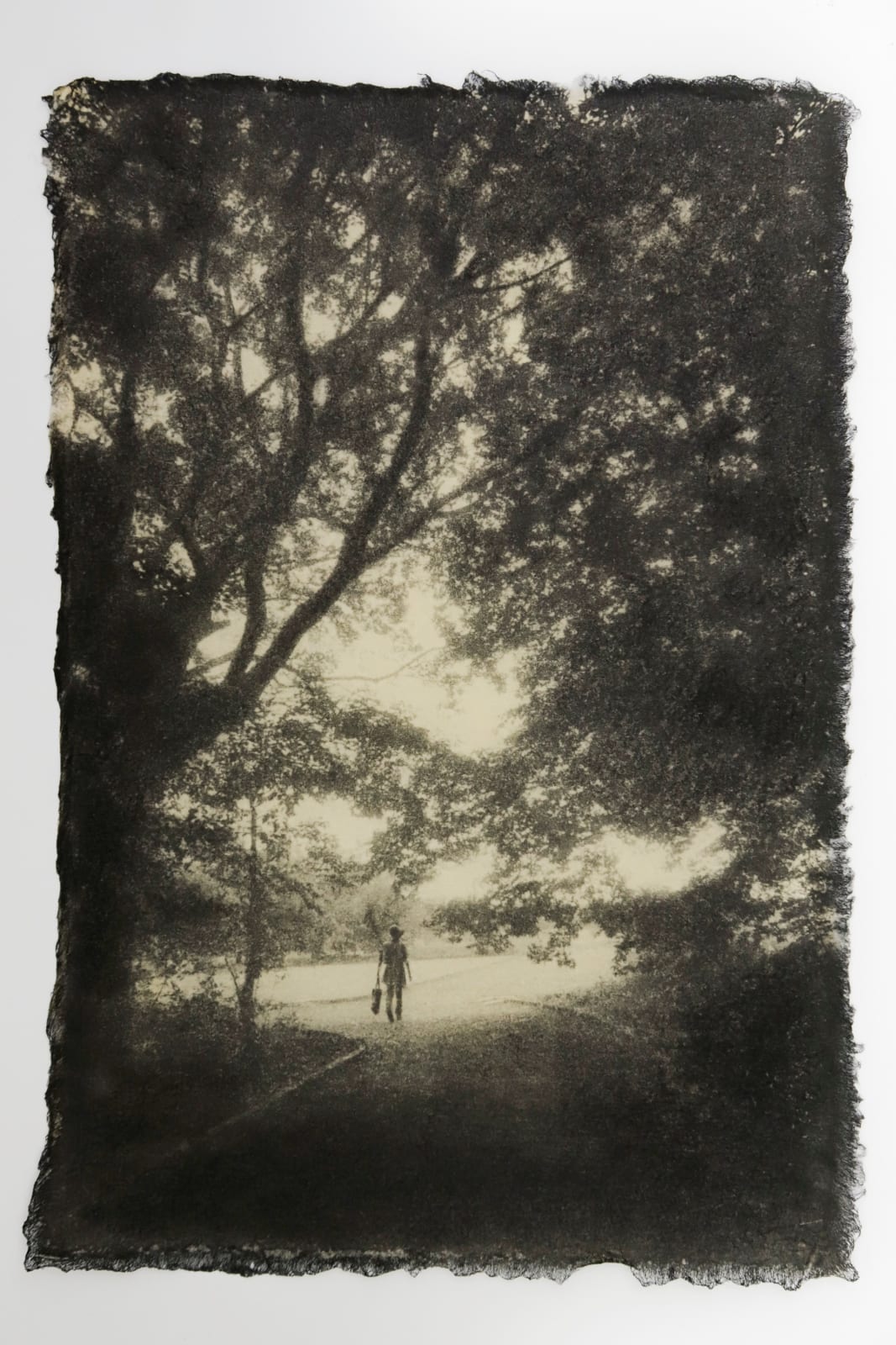 Naohiro Ninomiya, Ephemeral Moment-8, 2025