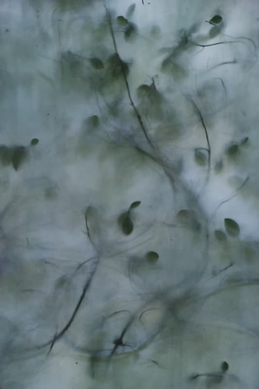 Sudi, Untitled 38, 2024