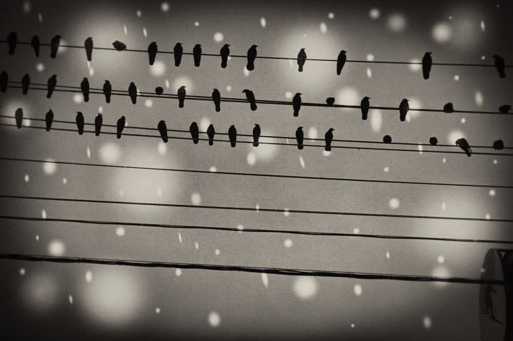 Yukari Chikura, Zaido 32, 2012-2017