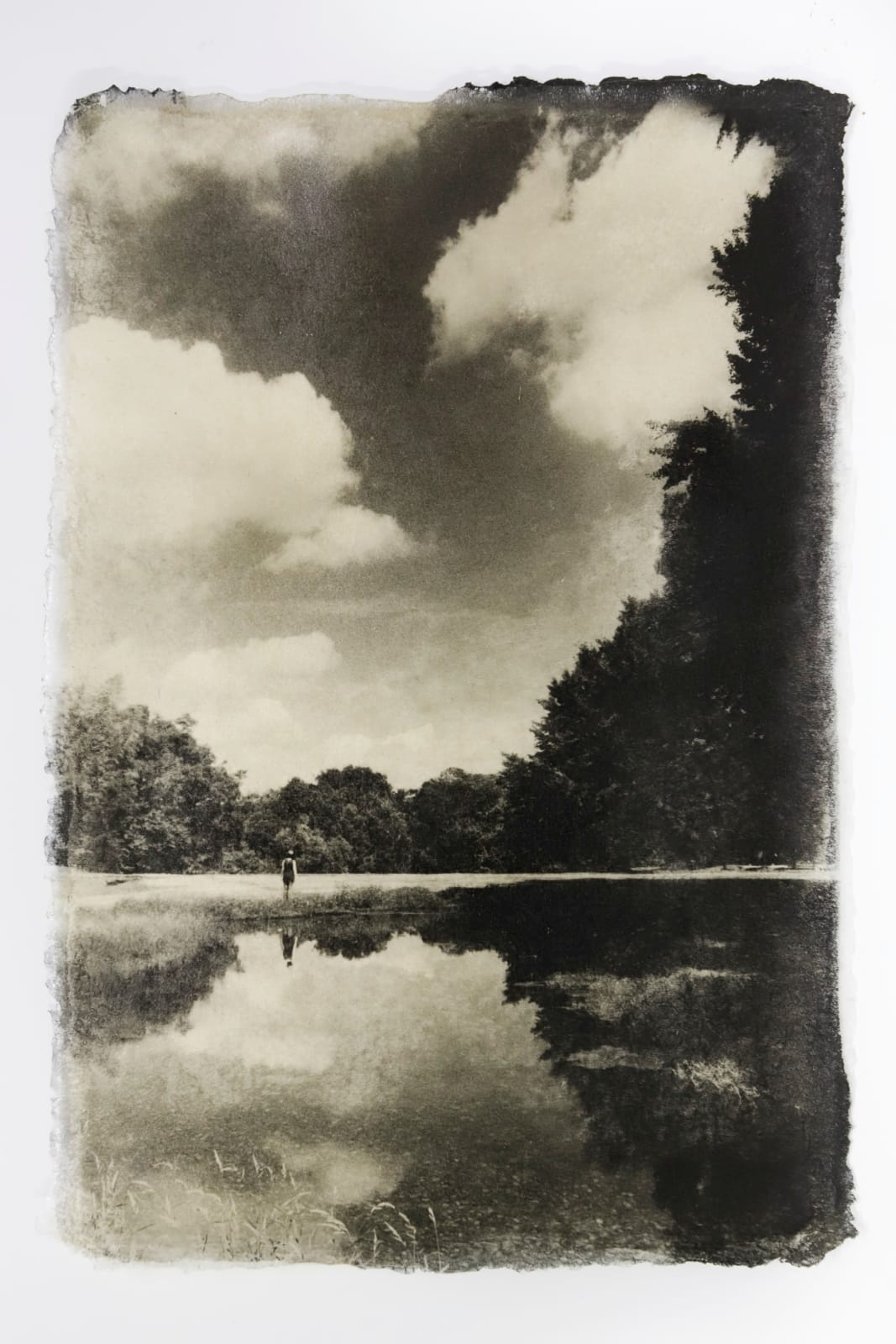 Naohiro Ninomiya, Ephemeral Moment-1, 2025