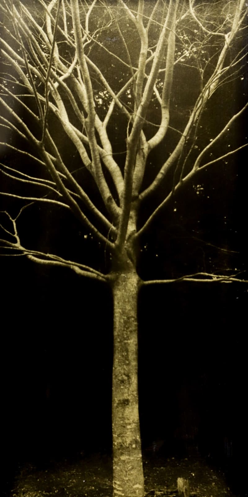 Naohiro Ninomiya, Glanage-80, 2023