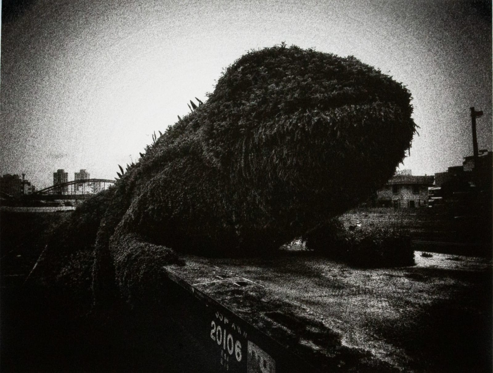 Daido Moriyama, Record No. 28, 2015