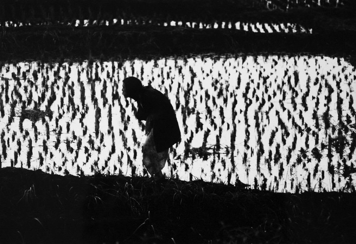 Eikoh Hosoe, Kamaitachi #35, 1968