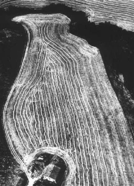 Various International Artists, Mario Giacomelli - Untitled from Presa di Coscienza Sulla Natura, c1975
