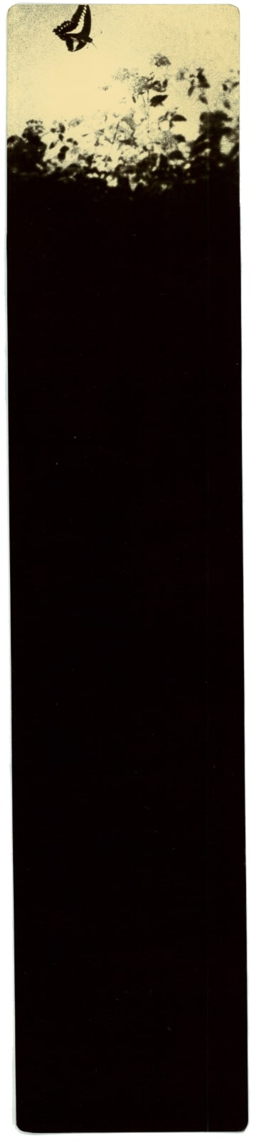 Miho Kajioka, BK0487, 2011