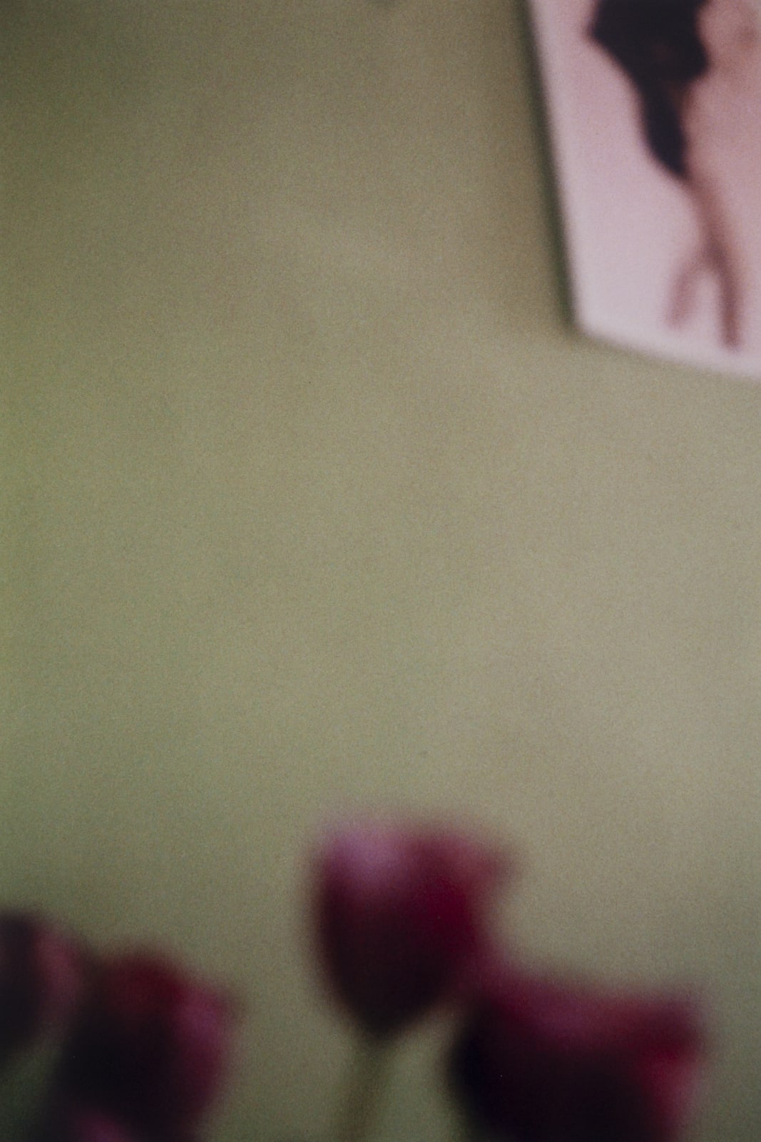 Hanayo, Untitled, 1997/2021