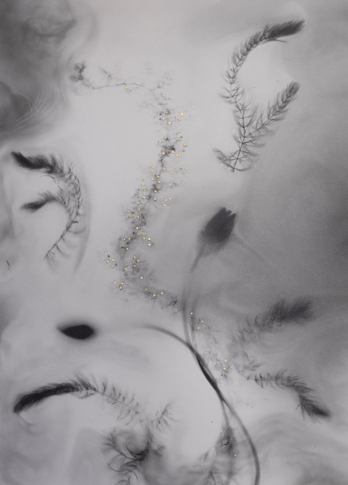 Yumiko Izu, 2020 Utsuroi 169_G2, 2020