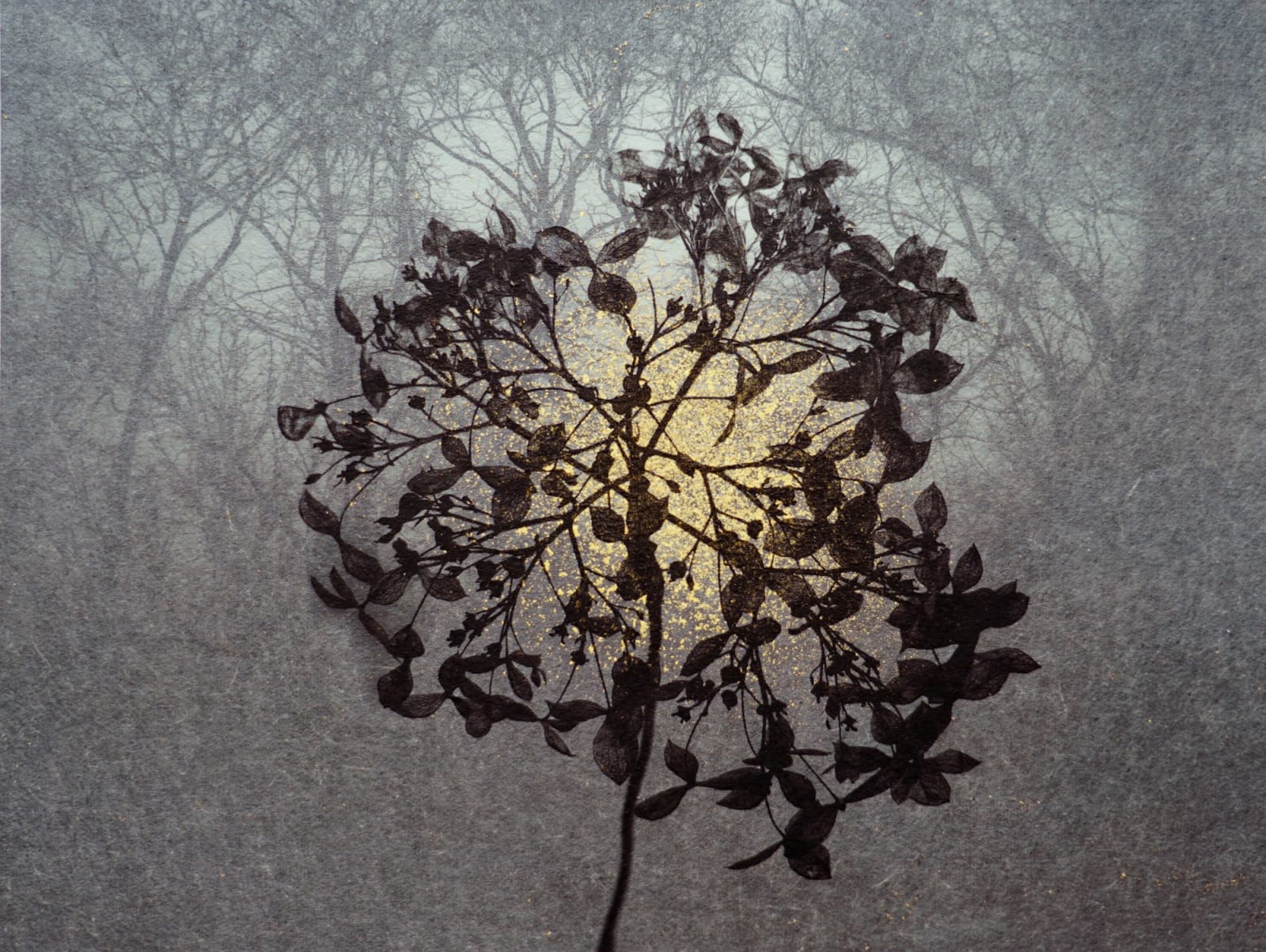 Junko Hirano, Nature Faith 5NW-13, 2023/2025