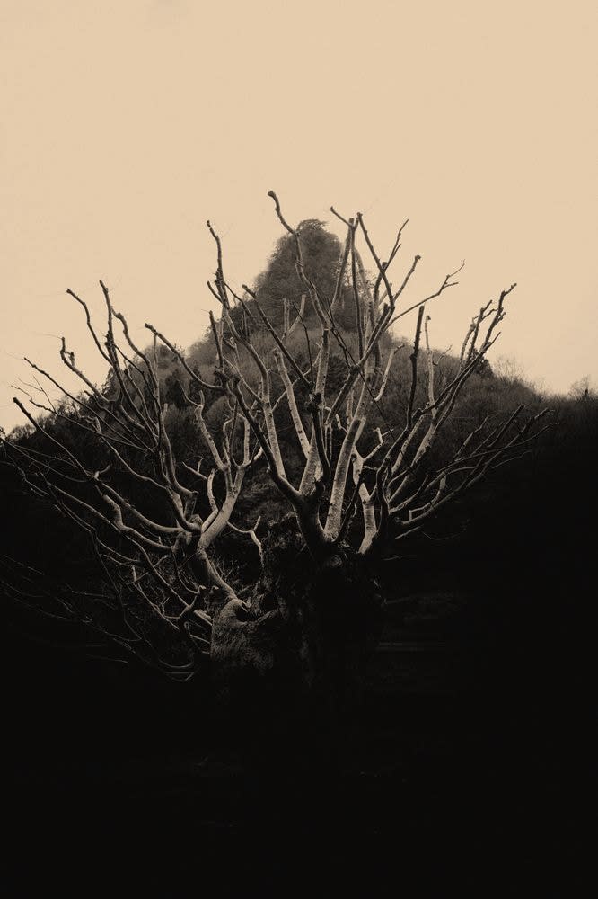 Albarrán Cabrera, The Mouth of Krishna #168, 2014