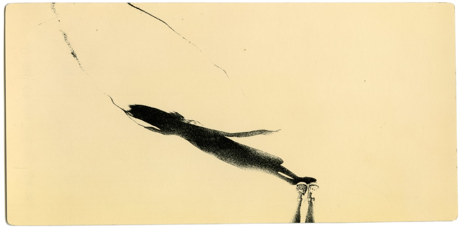 Miho Kajioka, BK0351, 2018