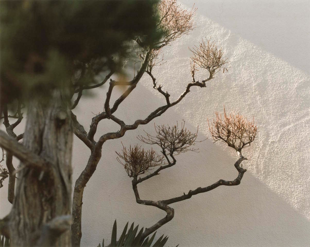 Yoko Ikeda, 1946-03 Hayama Town, Kanagawa Prefecture, 2021