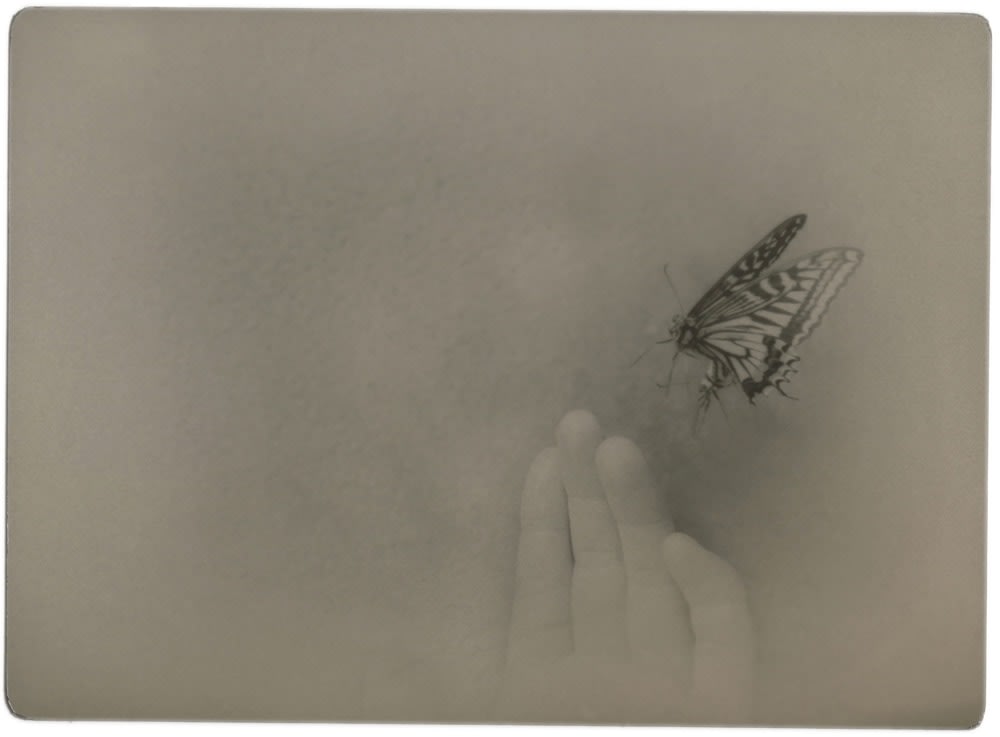 Miho Kajioka, BK0627, 2020