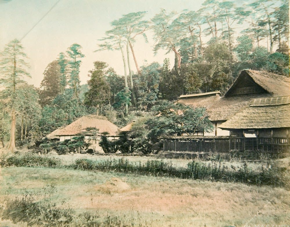 Vernacular Photography, Adolfo Farsari Studio - Album