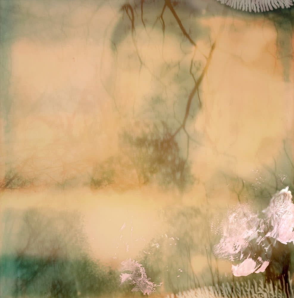 Hideyuki Ishibashi, Other Voices 1, 2011