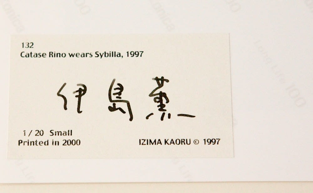Various Japanese Artists, Izima Kaoru - Catase Rino wears Sybilla, 1997
