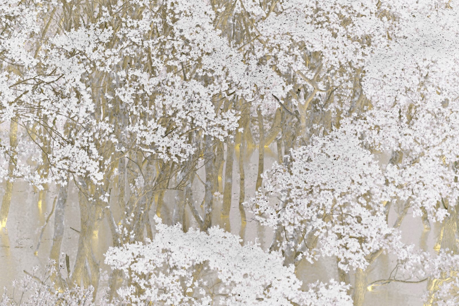 Hayato Takekoshi, 萌ゆ, 2021