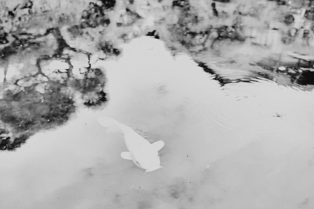 Margaret Lansink, As a traveler, 2017