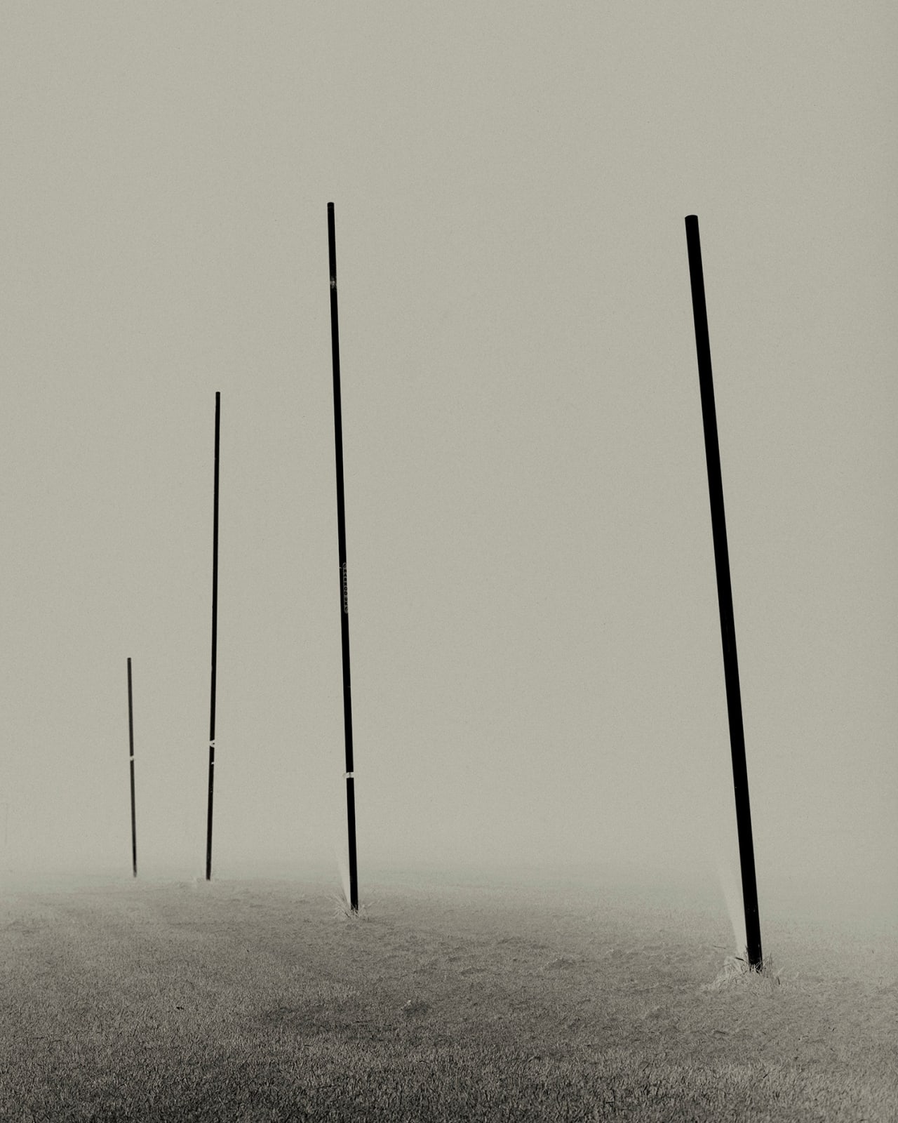 Sayuri Ichida, Absentee #249, 2021