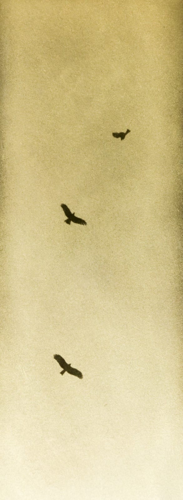 Naohiro Ninomiya, Glanage-79, 2023