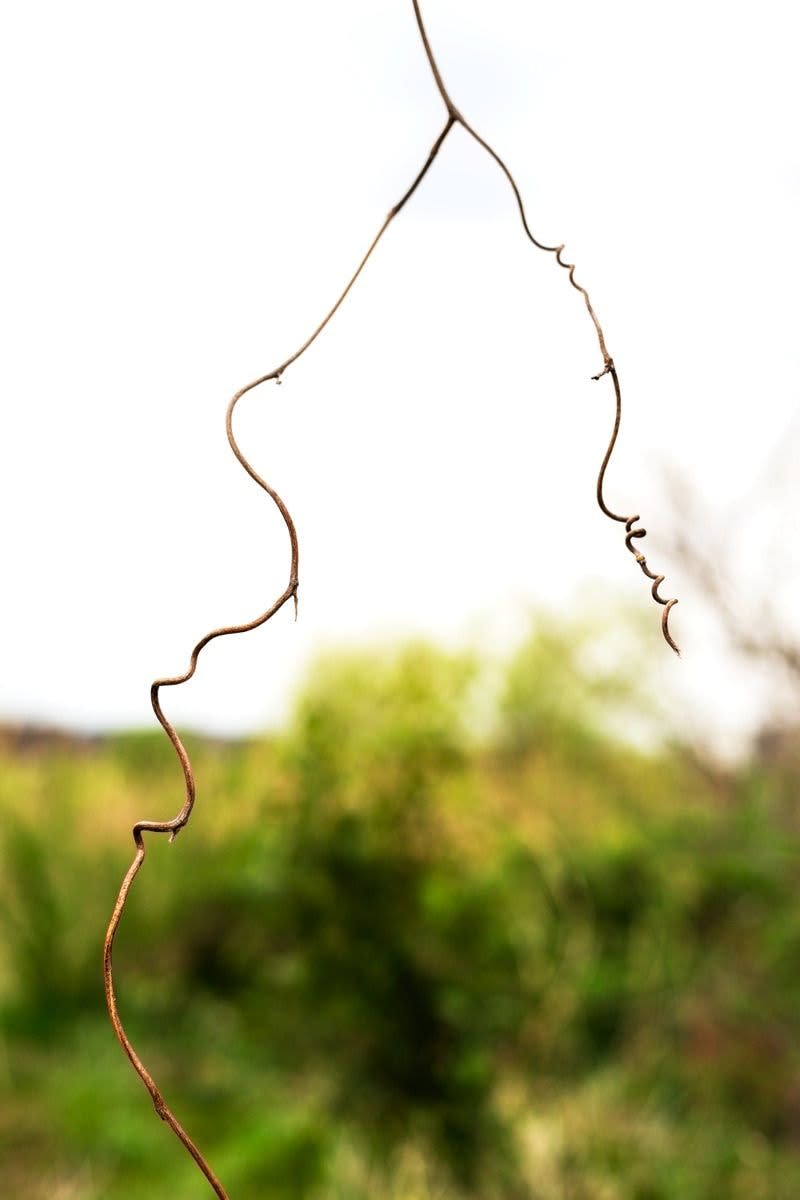 Yoshinori Mizutani, Yusurika 067, 2015