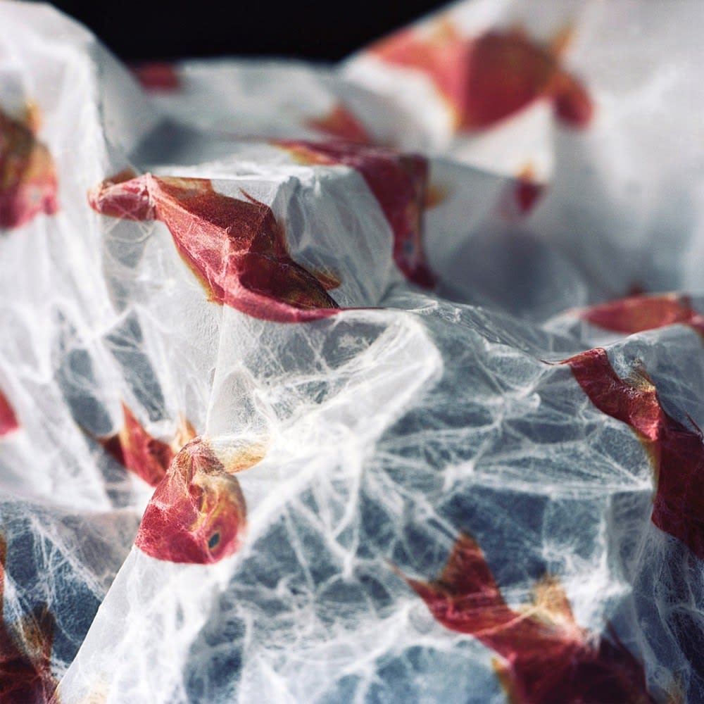 Kumi Oguro, KAT_5, 2018