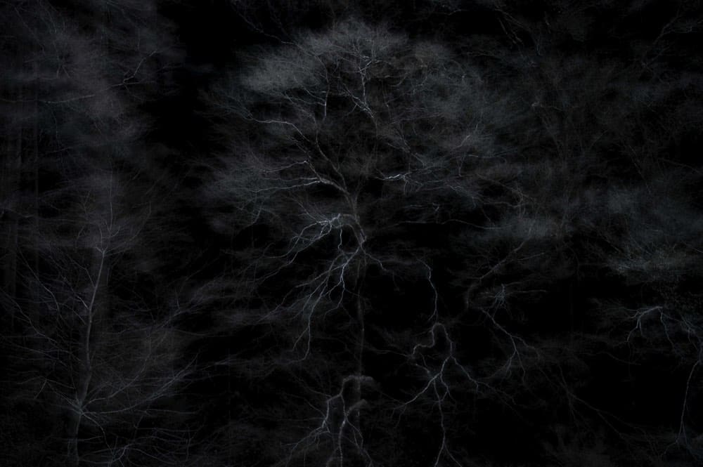 Toru Ukai, ?? - Interface/Interference #33, 2017