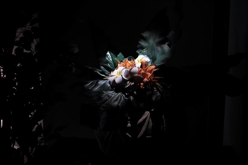 IBASHO Photo Competition 2016, Zaza Bertrand - Naha Flowers, from Japanese Whispers, 2016