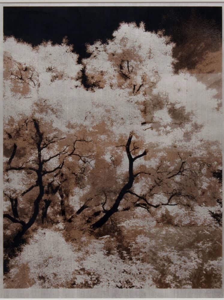 Norio Takasugi, 3-1-br, 2018