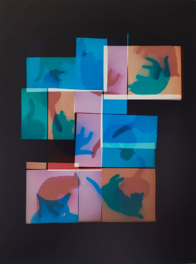 NEKO Project, Yuji Hamada - Untitled