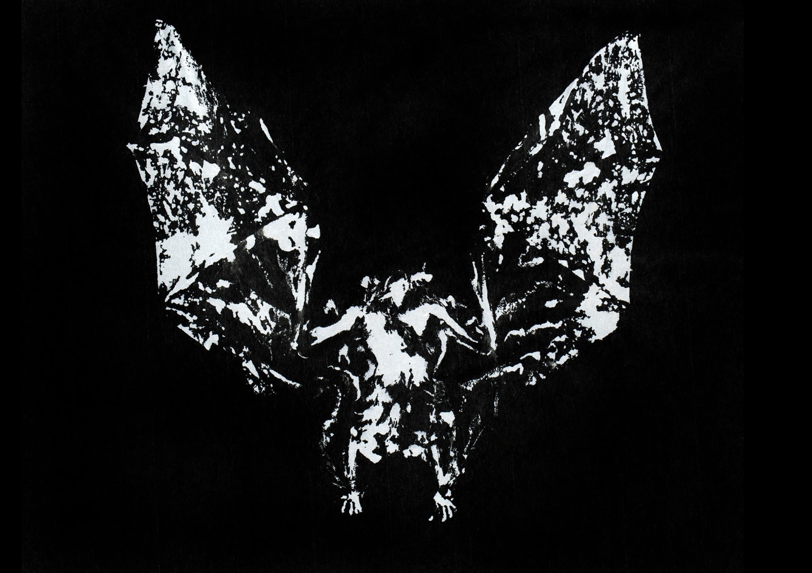 Anaïs Lopez, Gyotaku: Bat in the Wood