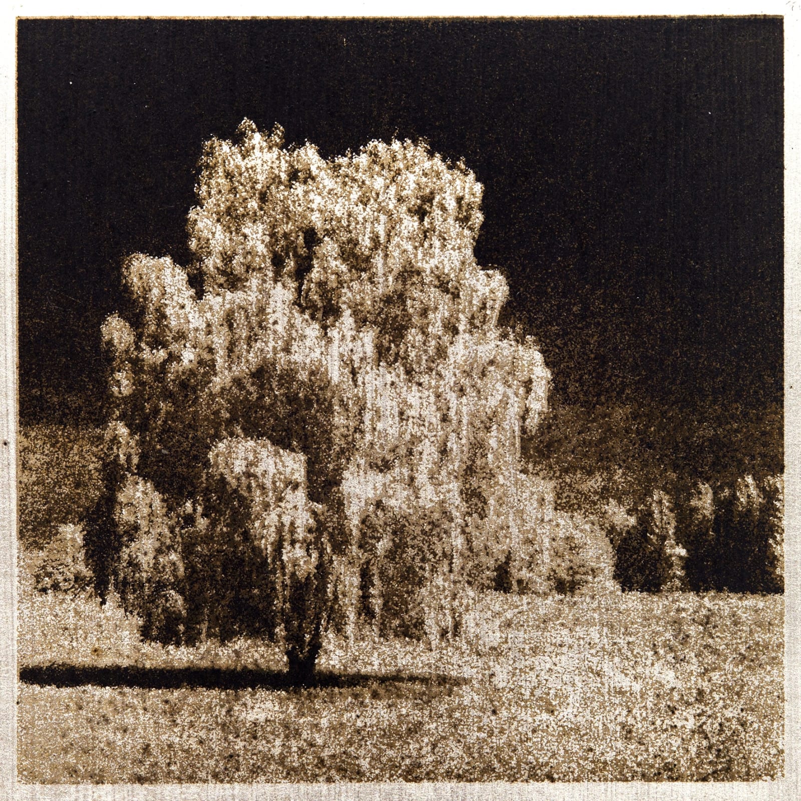 Norio Takasugi, jta-9, 2022