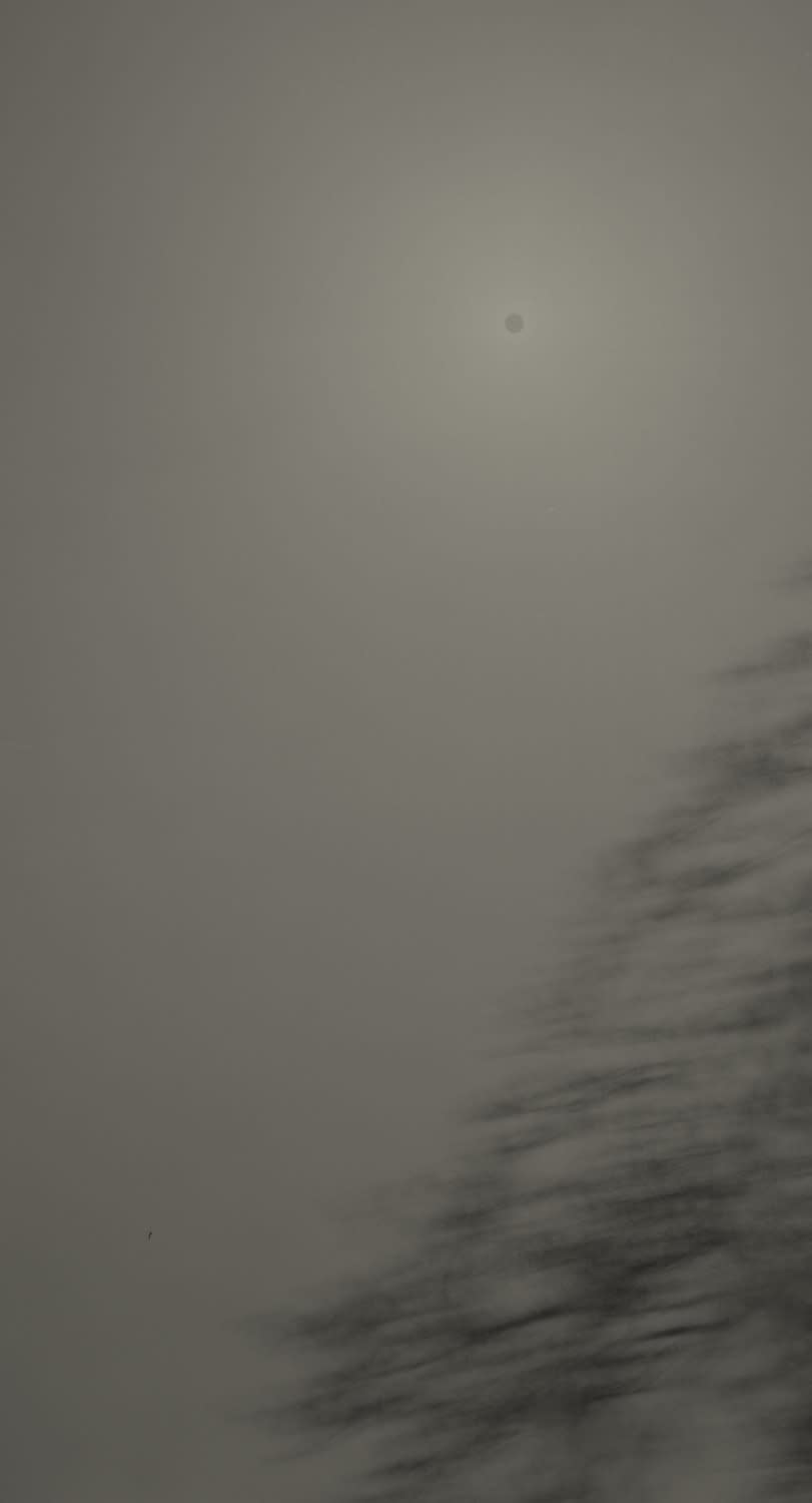 Keiichi Ito, F1363, 2019