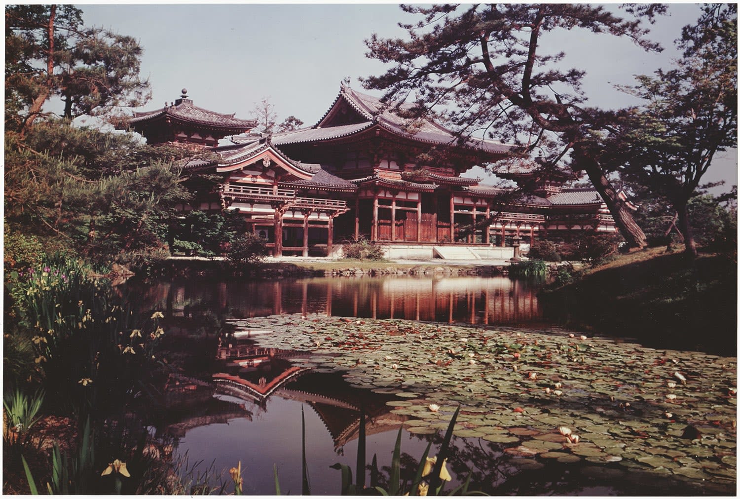 Ken Domon, Koji Junrai - Plate 064, 1963-1972