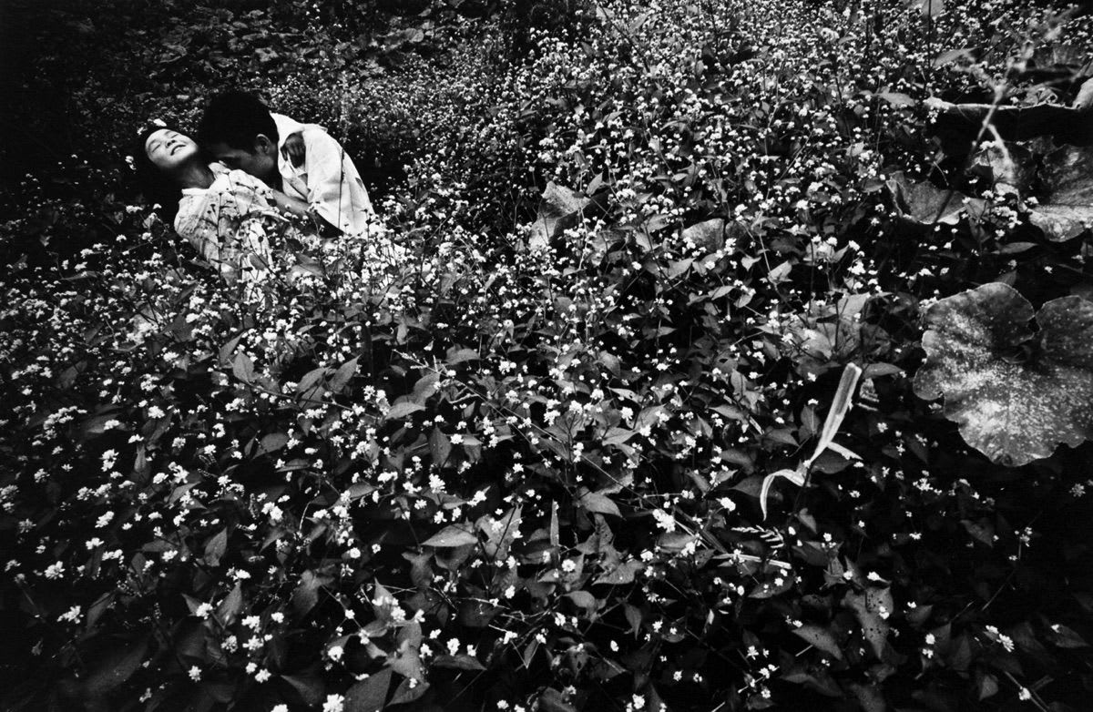 Eikoh Hosoe, Kamaitachi #23, 1965-1968