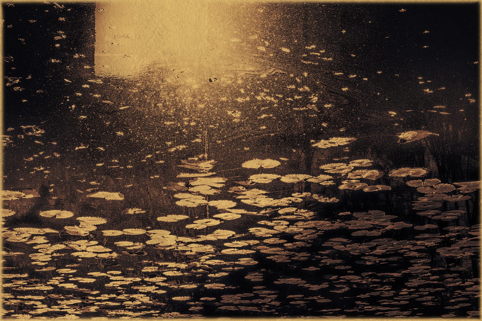 Albarrán Cabrera, The Mouth of Krishna #638, 2019