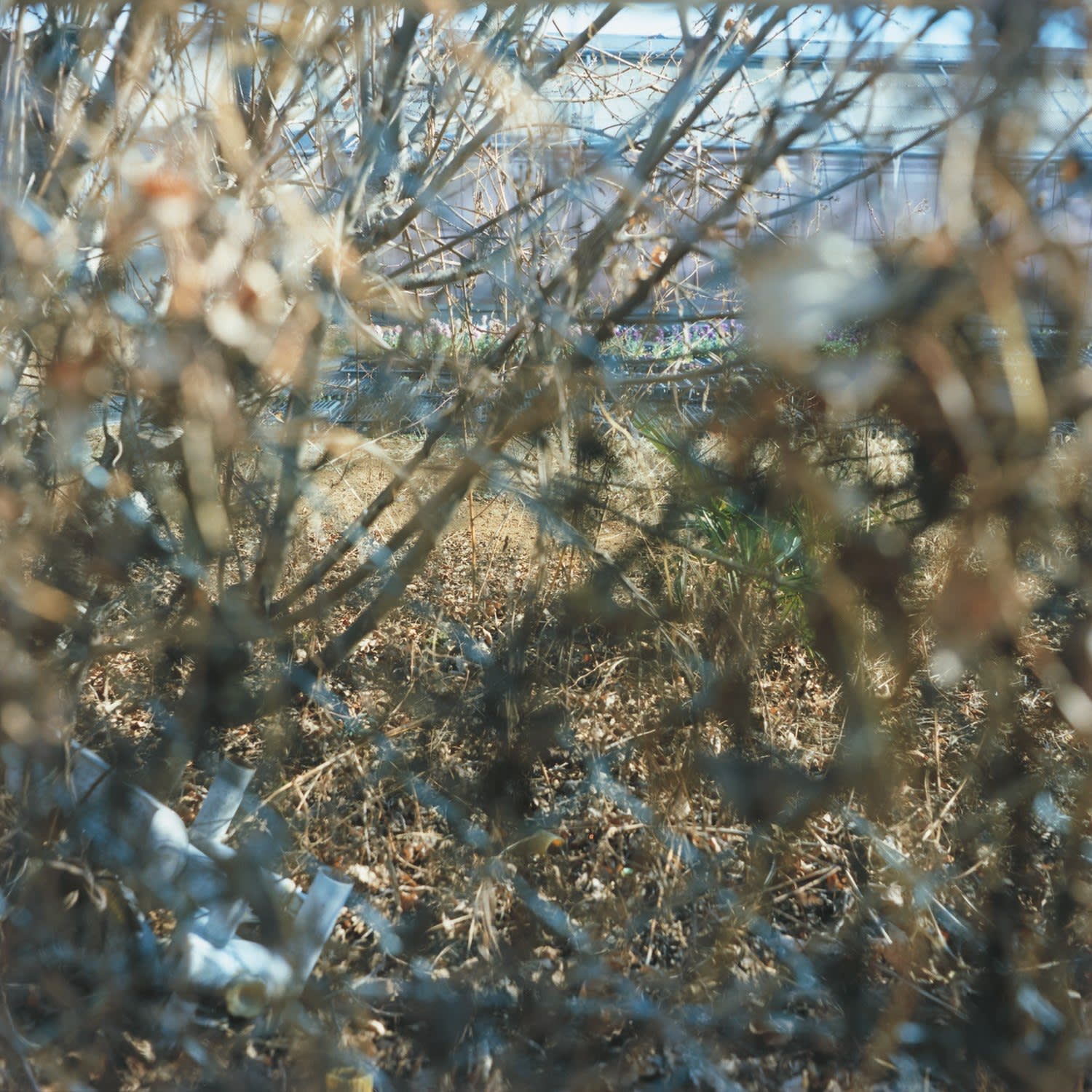 Mikiko Hara, Untitled from Medeia (#283)
