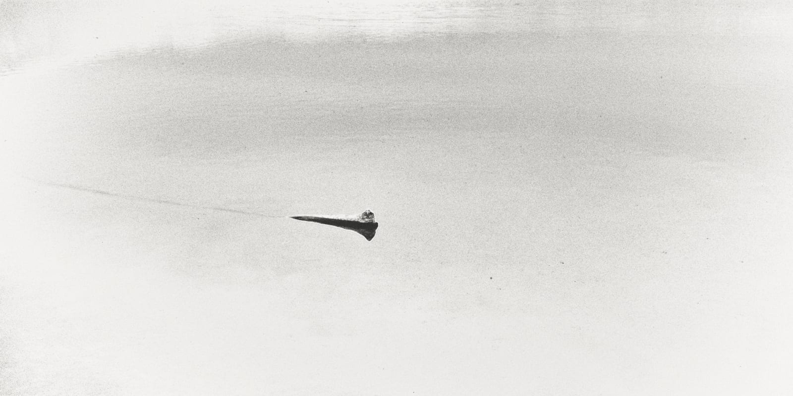 Margaret Lansink, Path (Concept of Ma), 2019