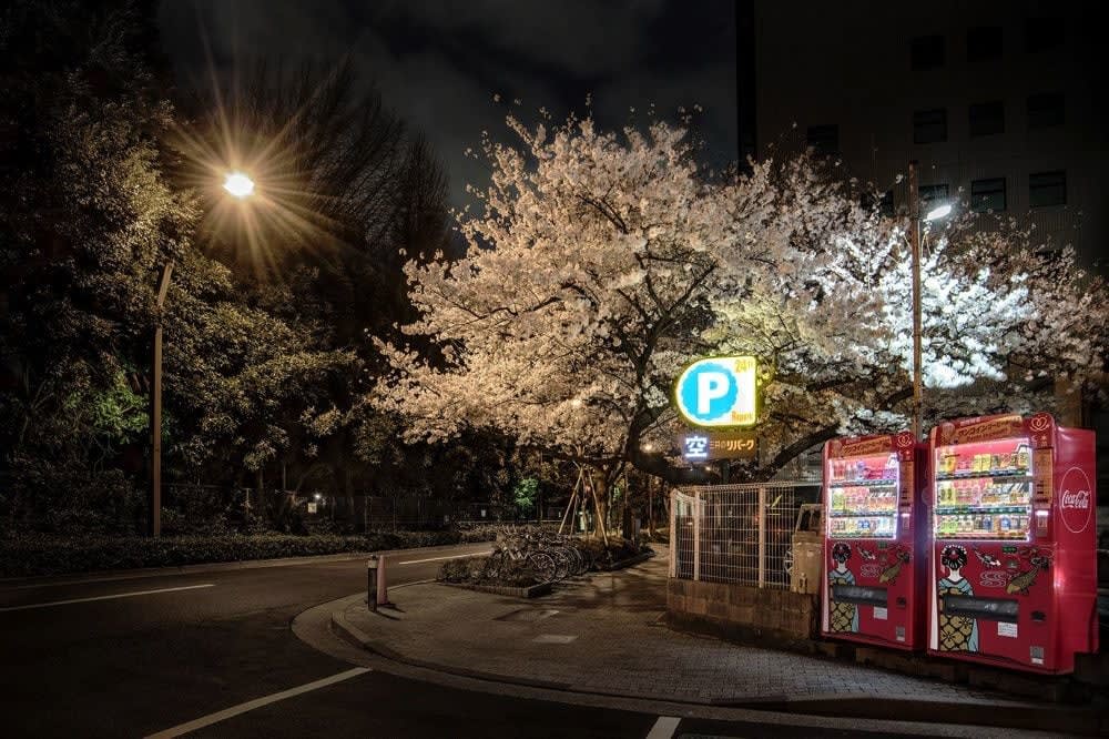 Eiji Ohashi, Roadside Lights 038, 2018