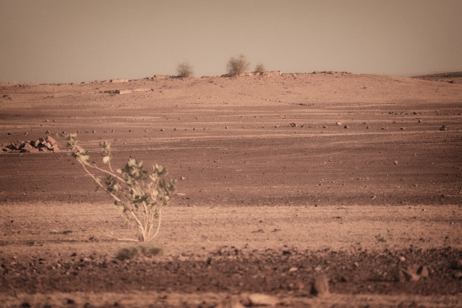 Yukari Chikura, Untitled, from Fluorite Fantasia, 2015