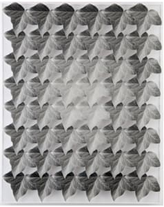 Norio Takasugi, Efeu 15-4G, 2017