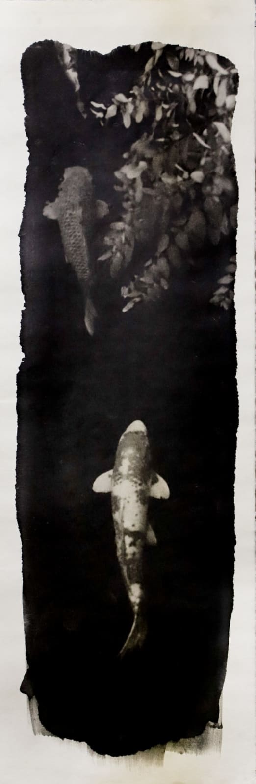 Naohiro Ninomiya, Nokomi-24, 2022