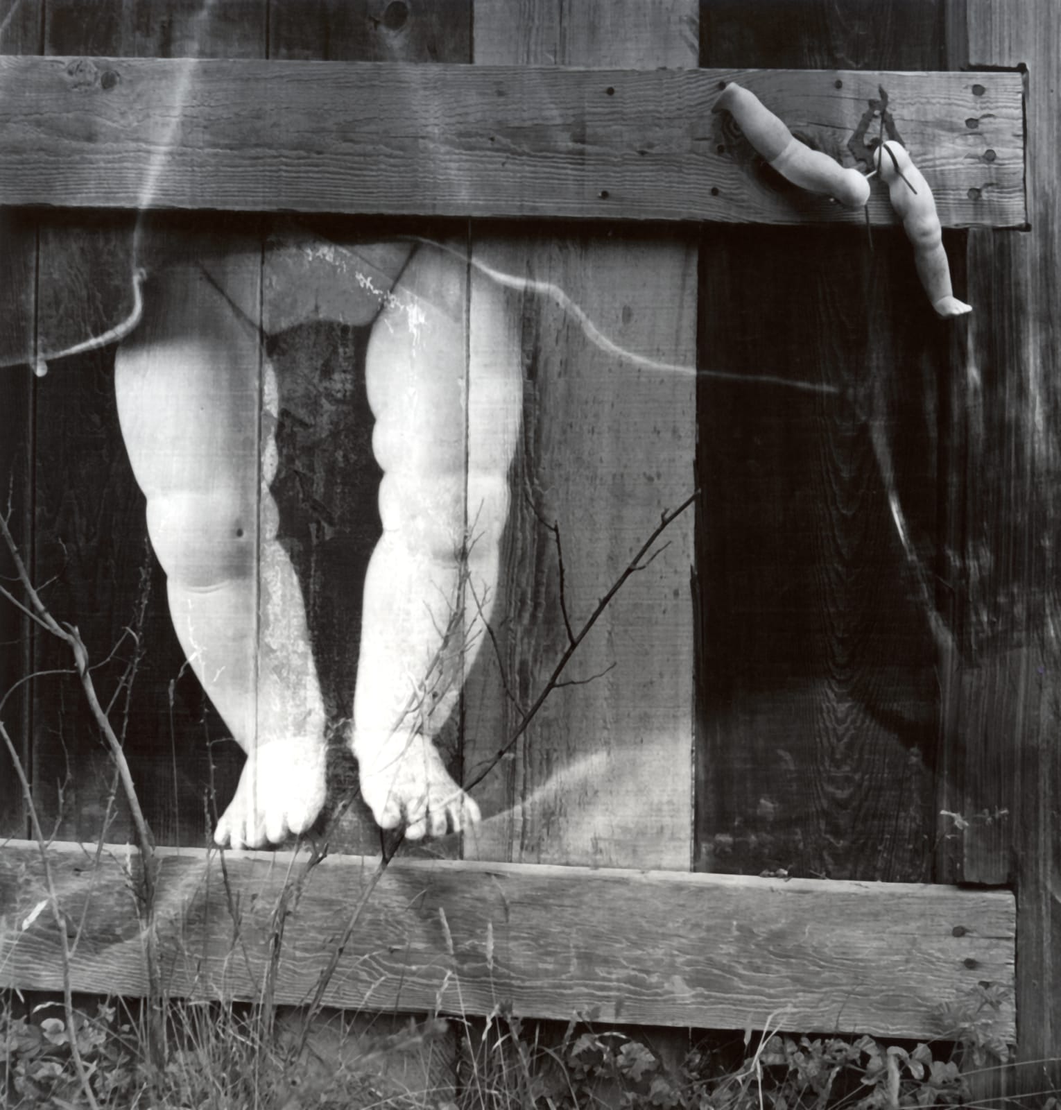Imogen Cunningham, Fence in Mendocino, 1971-1973