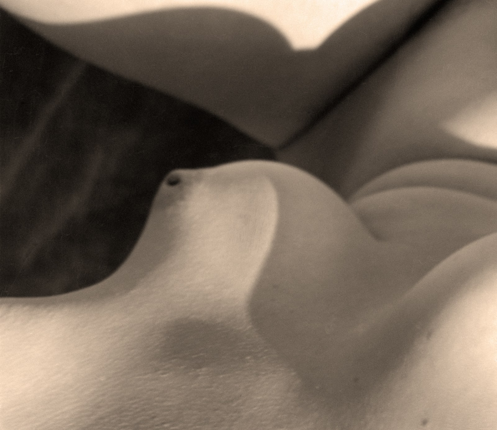 Imogen Cunningham, Her and Her Shadow, 1931