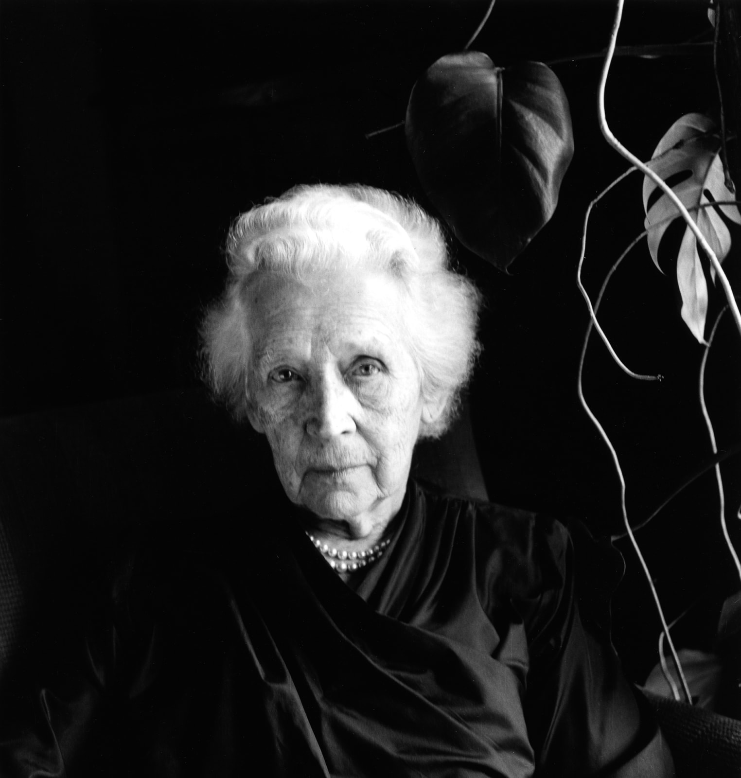 Imogen Cunningham, Age and Its Symbols, 1958