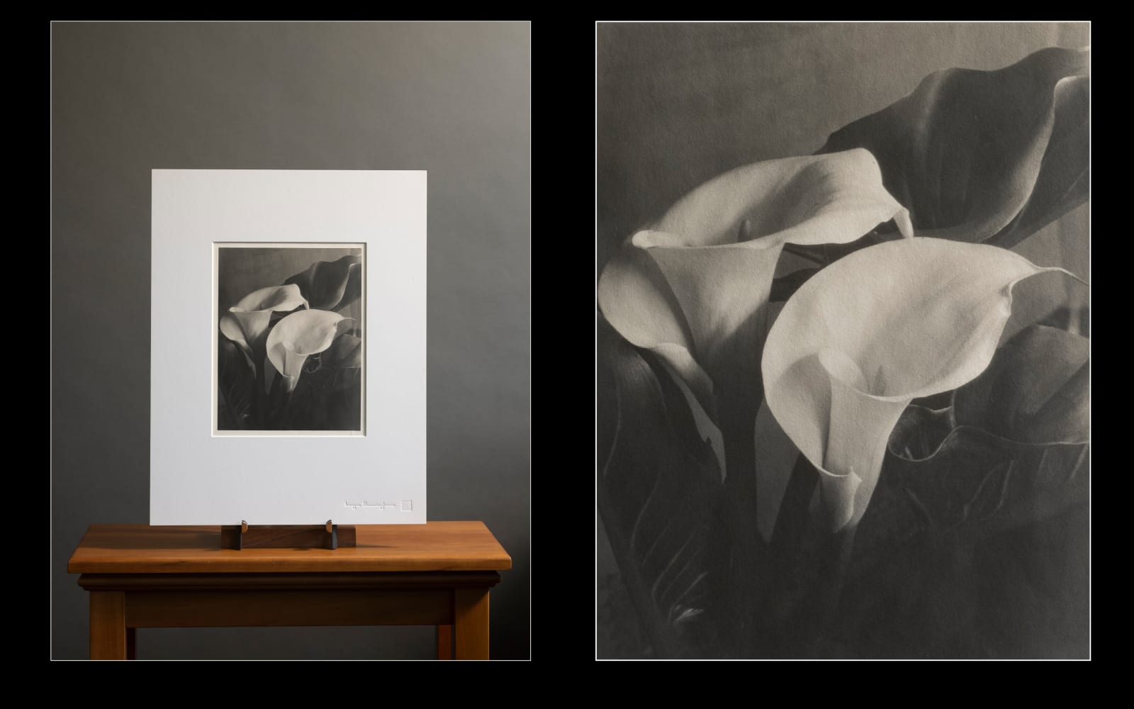 Imogen Cunningham, Two Callas 2, late 1920s