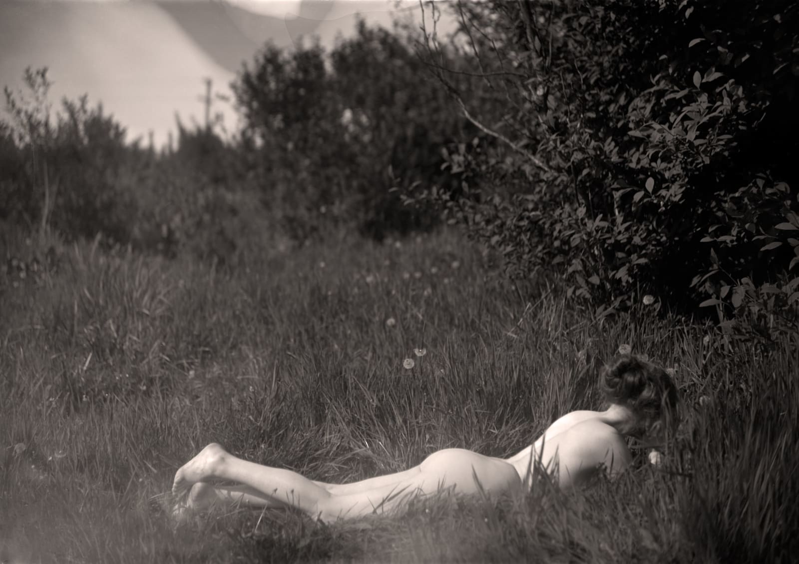 Imogen Cunningham, Portfolio "Symbolist"